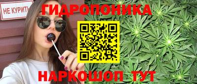 трава Будённовск
