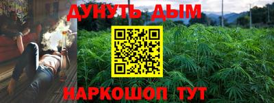 трава Будённовск